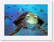 Disney Nemo 4 * Efekt 3D, Disney, zad papier 4 farby. * 2295 x 1677 * (3.05MB)